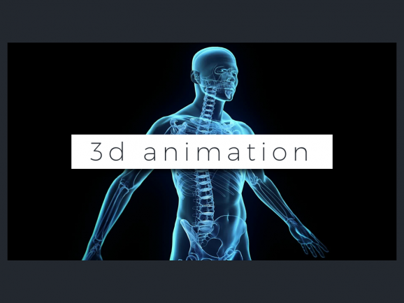 3D Custom Animation